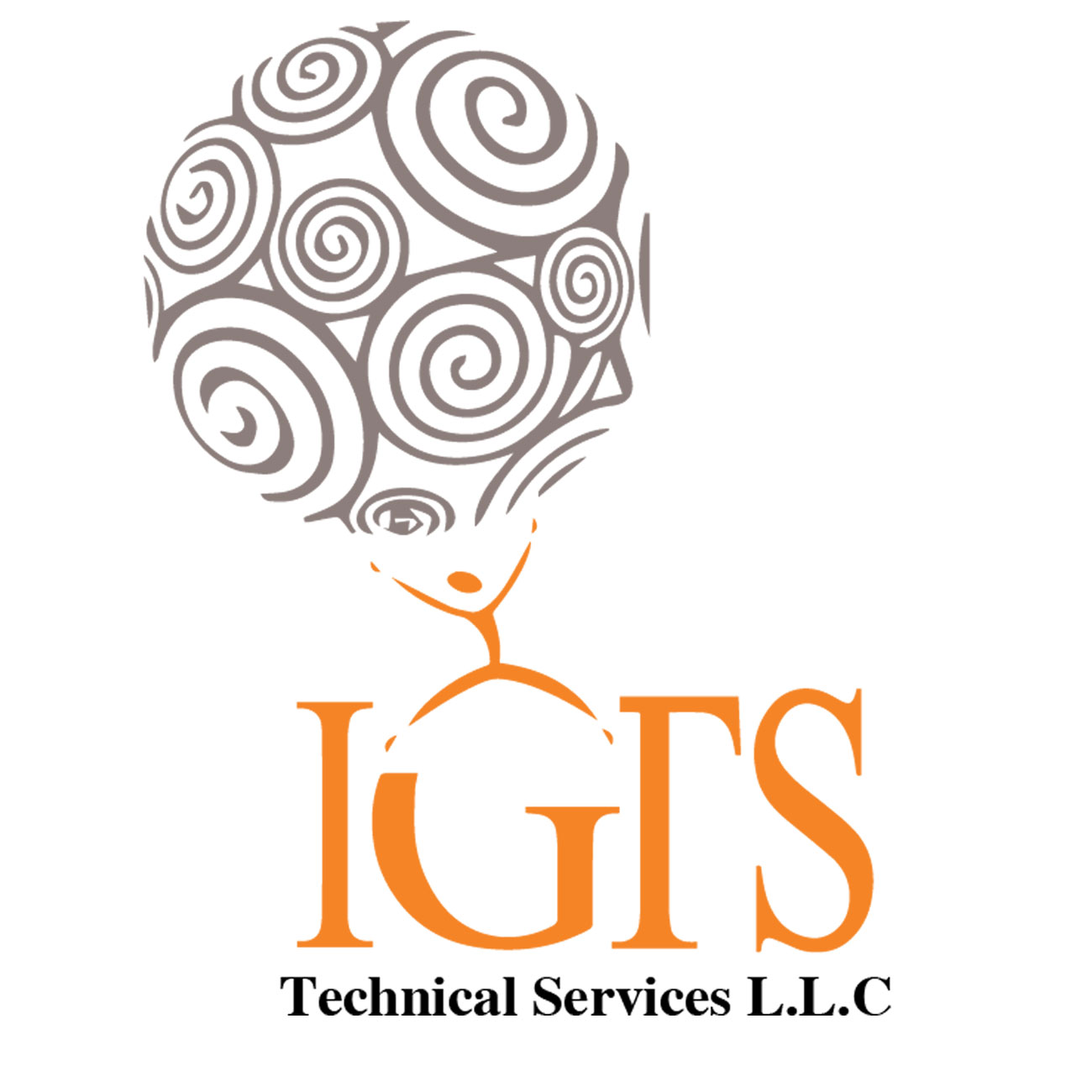 IGTS Technical Services LLC