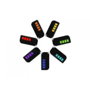 Twindoor multi-system garage and gate remote control for access automation in UAE.